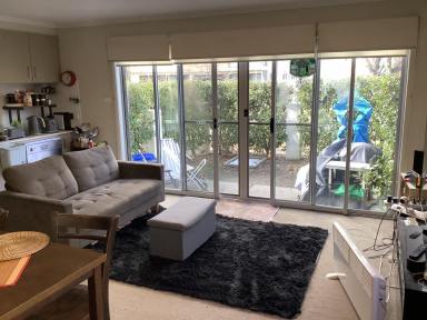 Unit For Sale - ACT - Lyneham - 2602 - Spacious, Light-Filled Ground Floor Unit with Garden Courtyard  (Image 2)