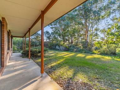 House For Sale - TAS - Turners Beach - 7315 - Private Home Nestled in Nature  (Image 2)