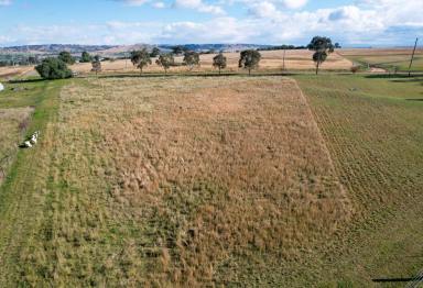Residential Block For Sale - NSW - Merriwa - 2329 - Great Lifestyle Acres!  (Image 2)
