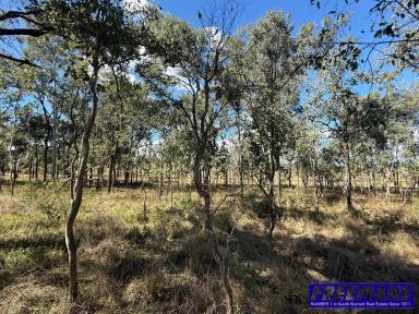 Residential Block For Sale - QLD - Runnymede - 4615 - 5 Acres Of Land With Rural Views  (Image 2)