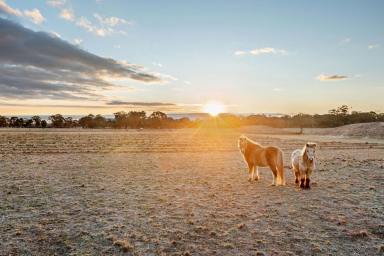 Residential Block For Sale - VIC - Inglewood - 3517 - Picturesque Acreage with 2 Dams and a Shed – 19 acres  (Image 2)