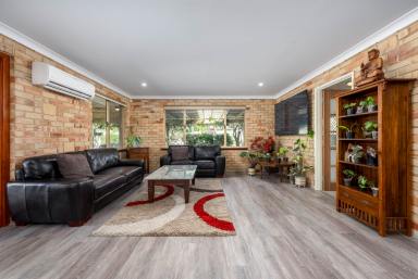 House For Sale - WA - Baldivis - 6171 - Modern Gem in Old Settlers Hills!  (Image 2)