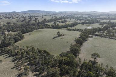 Acreage/Semi-rural For Sale - VIC - Gooram - 3666 - Bonds Bottom Estate - Agricultural Excellence & Rural Sophistication  (Image 2)