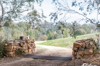 Acreage/Semi-rural For Sale - VIC - Gooram - 3666 - Bonds Bottom Estate - Agricultural Excellence & Rural Sophistication  (Image 2)