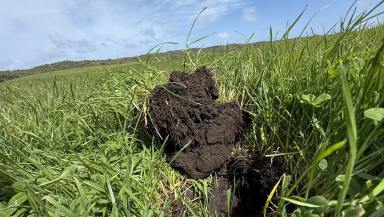 Other (Rural) For Sale - SA - Canunda - 5280 - Productive and Balanced Grazing $8,600,000  (Image 2)