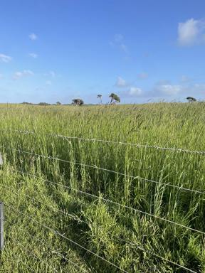 Other (Rural) For Sale - SA - Canunda - 5280 - Productive and Balanced Grazing $8,600,000  (Image 2)