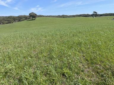Other (Rural) For Sale - SA - Canunda - 5280 - Productive and Balanced Grazing $8,600,000  (Image 2)