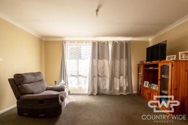House For Sale - NSW - Glen Innes - 2370 - Expansive Block  (Image 2)