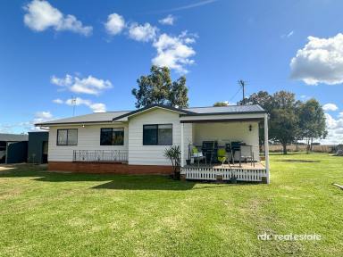 Lifestyle For Sale - NSW - Inverell - 2360 - ACREAGE CLOSE TO TOWN  (Image 2)