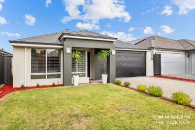 House For Sale - WA - Banksia Grove - 6031 - Outstanding Family Home in a Prime Position  (Image 2)