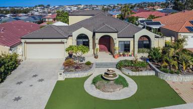 House For Sale - WA - Landsdale - 6065 - Immaculate family home in Landsdale  (Image 2)