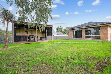 House For Sale - NSW - Clarence Town - 2321 - BRICK BEAUTY ON HALF AN ACRE IN THE HEART OF CLARENCE TOWN  (Image 2)