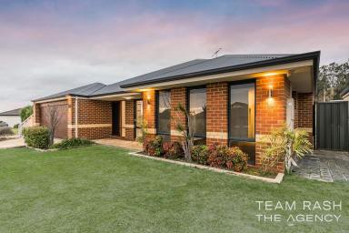 House For Sale - WA - Orelia - 6167 - Spacious Family Living with Style, Comfort & Versatility - 13 Stokesay StreetOrelia WA 6167  (Image 2)