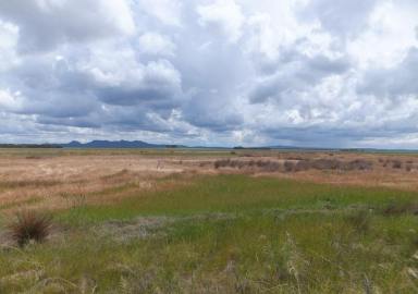 Residential Block For Sale - WA - Hopetoun - 6348 - A fresh view on life!  (Image 2)