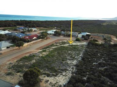 Residential Block For Sale - WA - Hopetoun - 6348 - Best of both worlds  (Image 2)