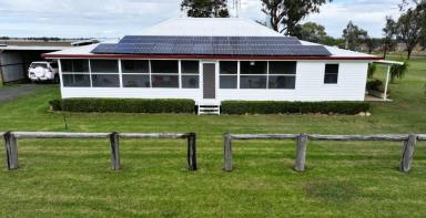 Cropping Auction - NSW - Pallamallawa - 2399 - "Weetah Cottage" 18345 Gwydir Highway Pallamallawa  (Image 2)