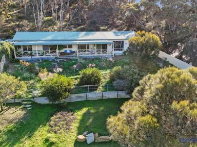 House For Sale - SA - American River - 5221 - Island home or B&B option in wonderful American River (Kangaroo Island). Expansive sea views, large block (2017m2).  (Image 2)