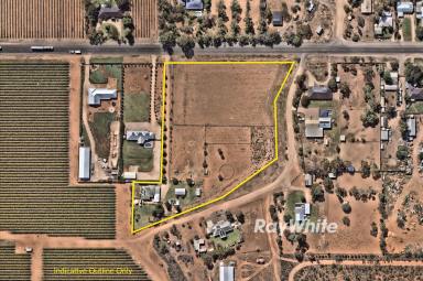 House For Sale - VIC - Merbein South - 3505 - Ideal Rural Living  (Image 2)