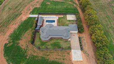 House For Sale - NSW - Euston - 2737 - Luxurious Country Estate with Resort-Style Living  (Image 2)