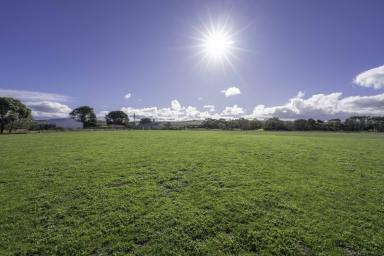 Residential Block For Sale - VIC - Narrawong - 3285 - Perfect Narrawong Location!  (Image 2)