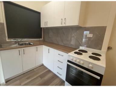 Villa For Lease - NSW - Forster - 2428 - RENOVATED TWO  BEDROOM COTTAGE  (Image 2)