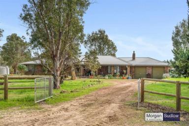 Mixed Farming For Sale - WA - Cowalla - 6503 - Lot 4 Cowalla Road, Cowalla - Homestead  (Image 2)