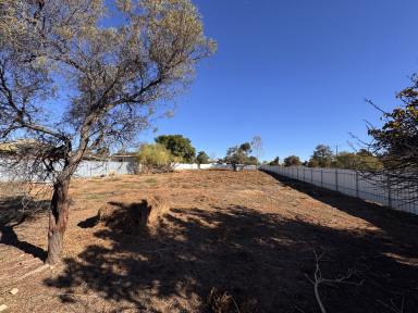 Residential Block For Sale - VIC - Walpeup - 3507 - Affordable & fully fenced 1/2 acre!  (Image 2)