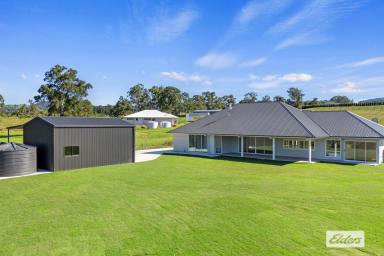 House For Sale - QLD - Pie Creek - 4570 - Executive Hamptons Elegance in Coveted Pie Creek – Brand New Luxury Home on 4032m²  (Image 2)