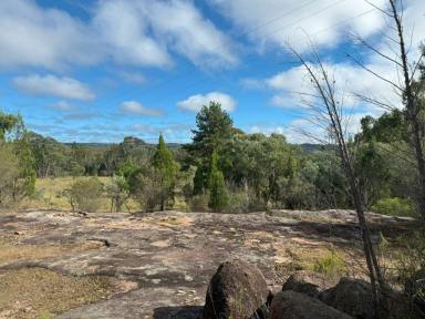 Residential Block For Sale - QLD - Fletcher - 4381 - Ballandean / Fletcher vacant land with river frontage  (Image 2)