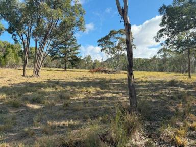 Residential Block For Sale - QLD - Fletcher - 4381 - Ballandean / Fletcher vacant land with river frontage  (Image 2)