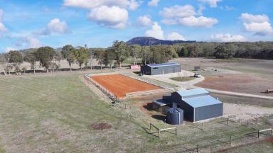 House For Sale - VIC - Navigators - 3352 - Idyllic Lifestyle Property on 46.23 Acres Close To Buninyong  (Image 2)