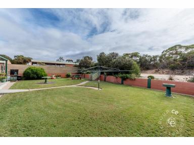 House For Sale - SA - Peake - 5301 - Dressed to impress, country charm with substantial shedding   (Image 2)