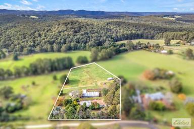 Lifestyle For Sale - VIC - Erica - 3825 - Room to Breathe, Space to Grow.  (Image 2)