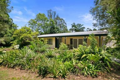 House For Sale - QLD - East Deep Creek - 4570 - WORK FROM HOME  (Image 2)