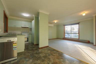 House For Sale - NSW - Lightning Ridge - 2834 - 19 Fantasia Street, Lightning Ridge  (Image 2)