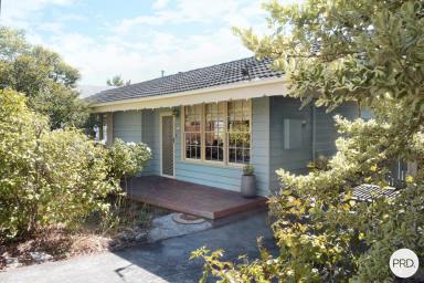 House Sold - VIC - Soldiers Hill - 3350 - Character, Charm and Convenience in Blue-chip Soldiers Hill  (Image 2)