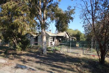 Residential Block For Sale - VIC - Pyramid Hill - 3575 - AFFORDABLE LAND OPPORTUNITY - PRIME LOCATION OPPOSITE RAILWAY STATION  (Image 2)