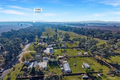 House For Sale - NSW - Cowra - 2794 - A Lovely Family Home, Set On Just Under 1acre*  (Image 2)