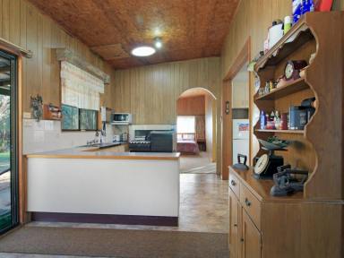 House For Sale - VIC - Hollands Landing - 3862 - OFF GRID LIFESTYLE NEXT TO LAKE VICTORIA  (Image 2)