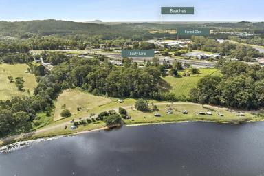 Acreage/Semi-rural For Sale - QLD - Woombye - 4559 - Tightly-Held Acreage Parcel: 2 Homes, 2 Titles, Horse-Friendly!  (Image 2)