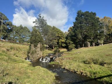 Acreage/Semi-rural For Sale - TAS - Sulphur Creek - 7316 - Coastal Farmlet  (Image 2)