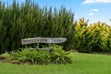 Farmlet Auction - NSW - Crookwell - 2583 - Rural Retreat with a View  (Image 2)