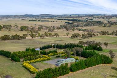 Farmlet Auction - NSW - Crookwell - 2583 - Rural Retreat with a View  (Image 2)