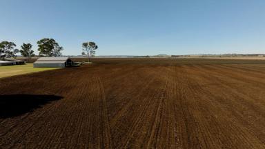Cropping For Sale - QLD - Clifton - 4361 - "Roselawn" - Rural Property with endless features  (Image 2)