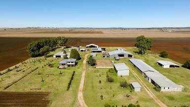 Cropping For Sale - QLD - Clifton - 4361 - "Roselawn" - Rural Property with endless features  (Image 2)