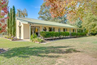 Lifestyle For Sale - VIC - Ovens - 3738 - A Lifestyle Haven on the Happy Valley Creek  (Image 2)