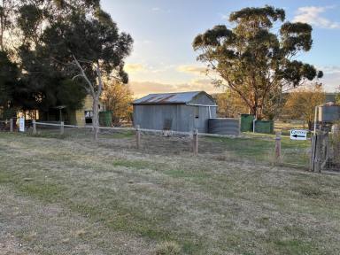 Residential Block For Sale - VIC - Digby - 3309 - Peaceful residential block  (Image 2)