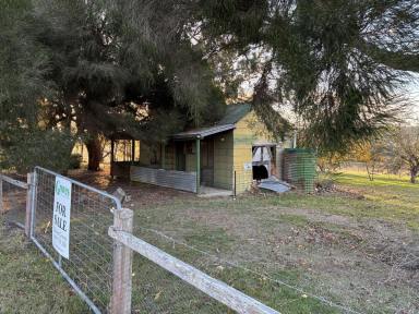 Residential Block For Sale - VIC - Digby - 3309 - Peaceful residential block  (Image 2)