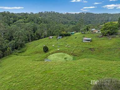 House For Sale - QLD - Ocean View - 4521 - Rural Acreage with established infrastructure  (Image 2)