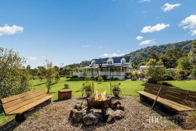 House For Sale - QLD - King Scrub - 4521 - “Glenboro” – Private Acreage Retreat with Hamptons Charm  (Image 2)